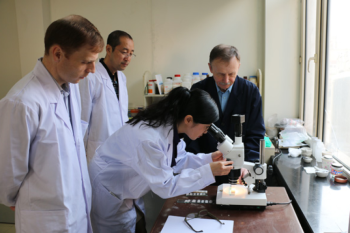 百家乐平台推荐
承担的科技部国际合作专项通过技术验收